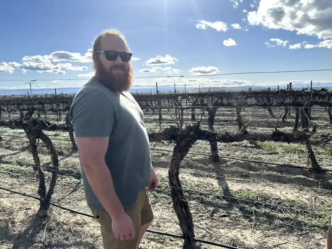 Matt Check examines Syrah in Rock Bottom Vineyard