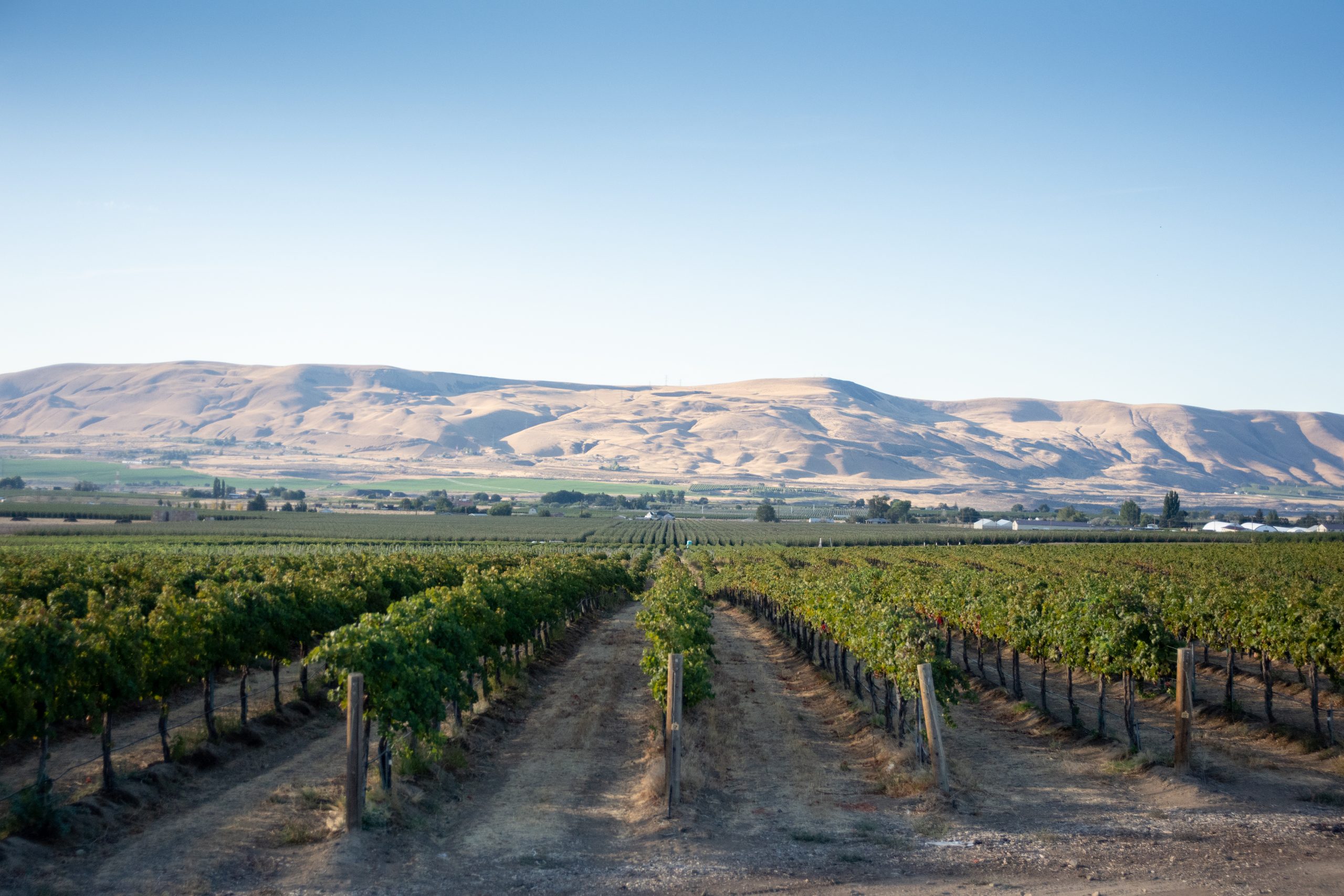 Yakima Valley AVA, Washington